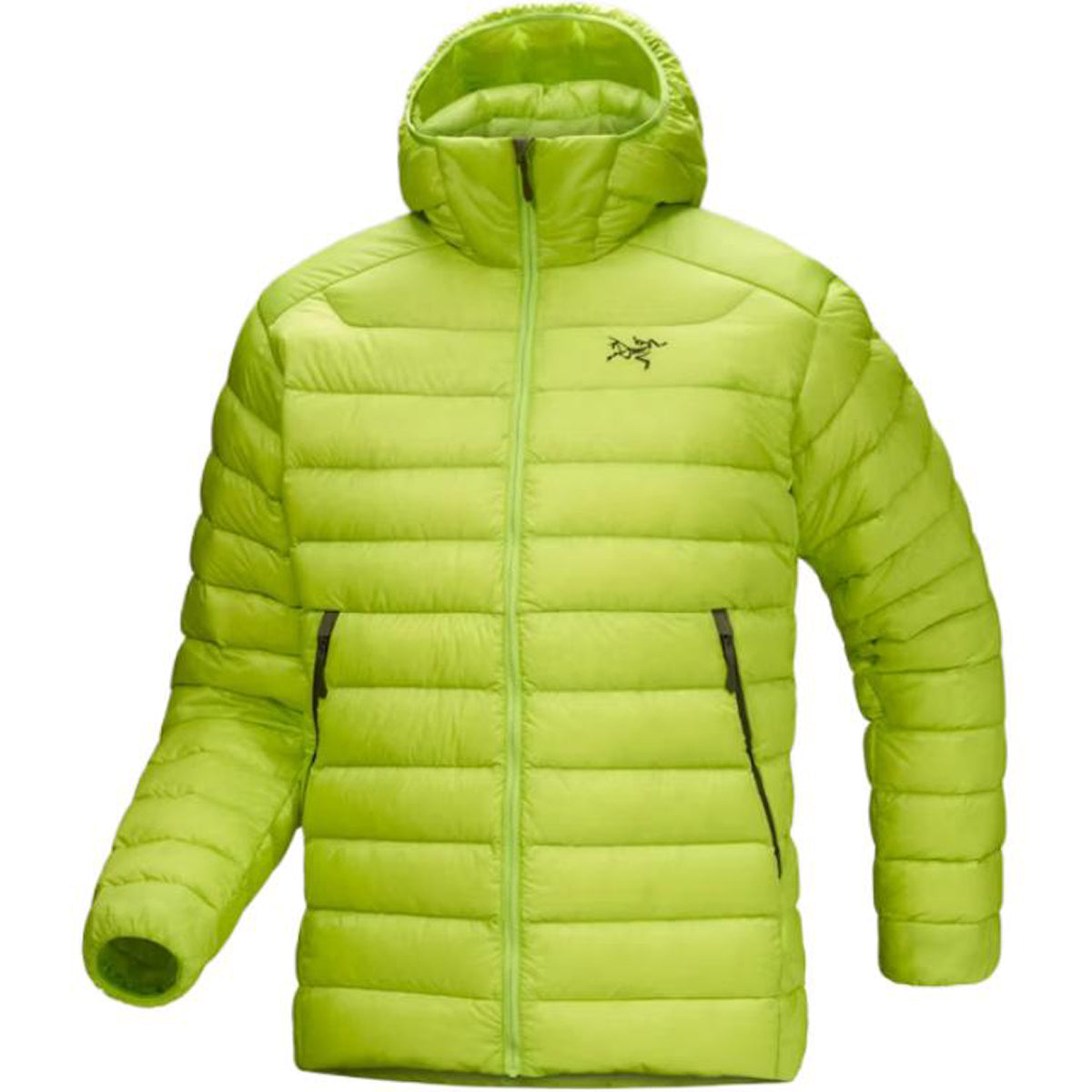 Arc'teryx Cerium Hoody Men's 850-Fill Goose Down Jacket – Vine Green
