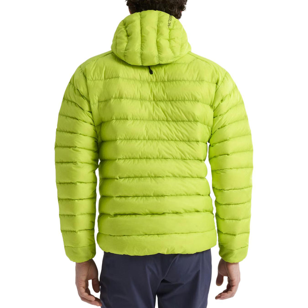 Arc'teryx Cerium Hoody Men's 850-Fill Goose Down Jacket – Vine Green